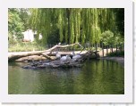 Dierentuin Antwerpen 63 * 2048 x 1536 * (1.1MB)